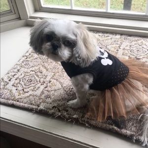 Meet your Posher, Pamela